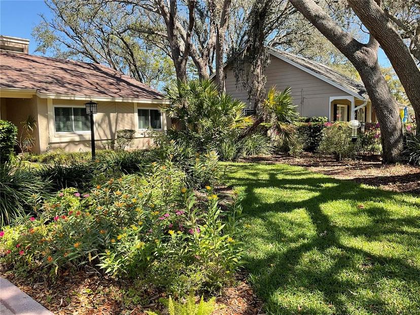 Picture of 11712 Palmer Drive, Tampa FL 33624
