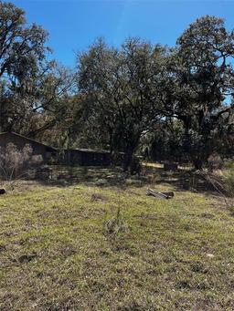 Picture of 14970 NE 10Th Place, Silver Springs, FL 34488
