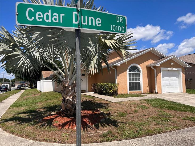 Picture of 10102 Cedar Dune Drive, Tampa FL 33624