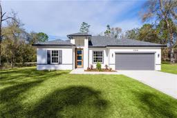 Picture of 10848 N Robert Dean Way, Citrus Springs, FL 34434