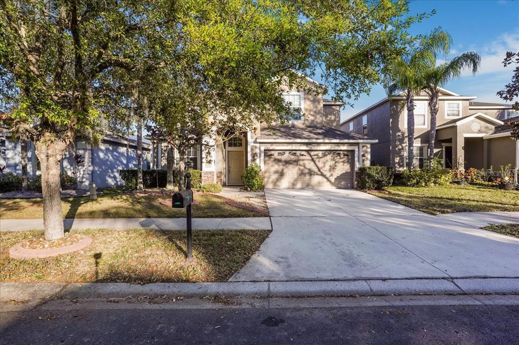 Picture of 20427 Carolina Cherry Court, Tampa, FL 33647
