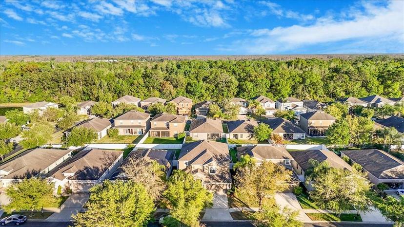 Picture of 20427 Carolina Cherry Court, Tampa FL 33647
