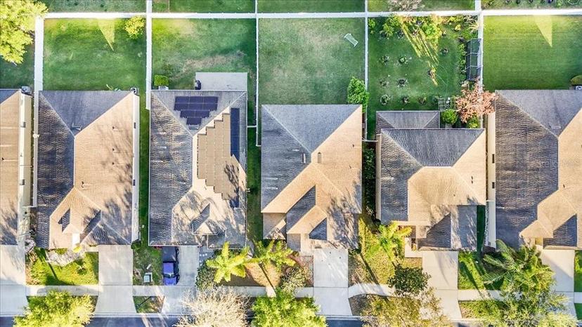 Picture of 20427 Carolina Cherry Court, Tampa FL 33647