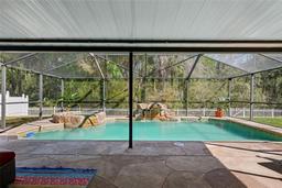 Picture of 4821 Barchetta Drive, Land O Lakes, FL 34639