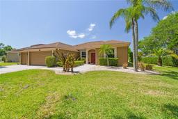 Picture of 9117 Brindlewood Drive, Odessa, FL 33556