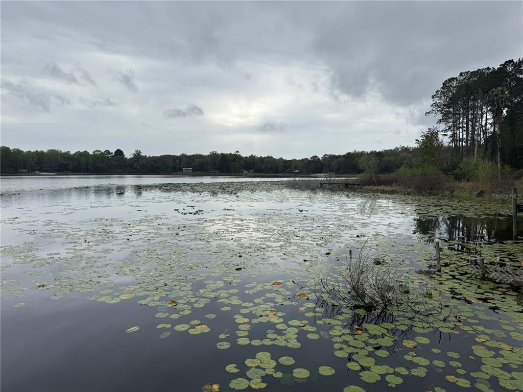 Picture of 266 Ash Street, Hawthorne, FL 32640