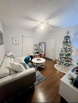 Picture of 728 Mckenzie Street, Leesburg, FL 34748