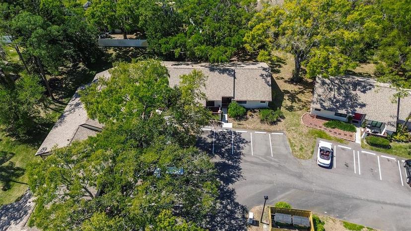 Picture of 4031 Bluff Oak Court, Palm Harbor FL 34684