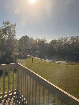 Picture of 14116 Trouville Drive, Tampa, FL 33624