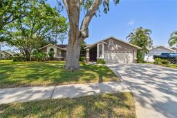 Picture of 1585 Virginia Avenue, Palm Harbor, FL 34683