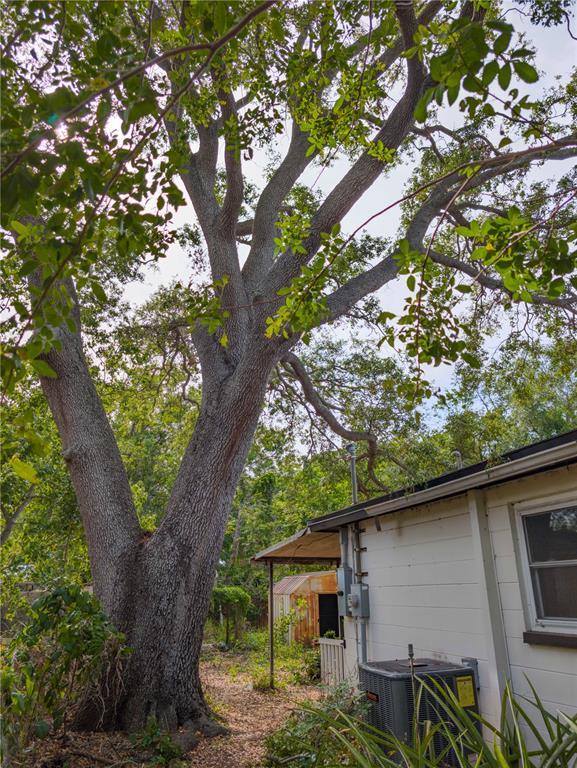 Picture of 8926 68Th, Pinellas Park FL 33782