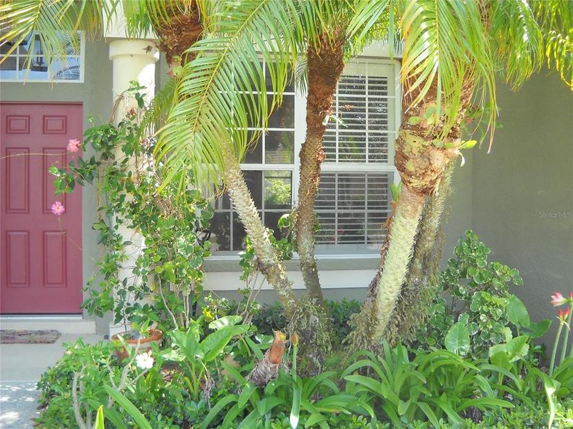 Picture of 315 Londonderry Drive, Sarasota FL 34240