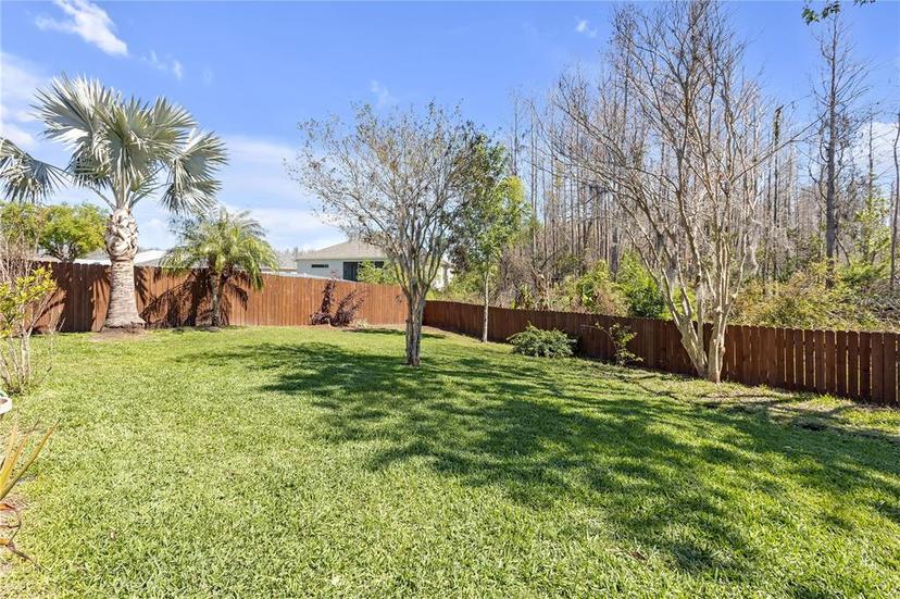 Picture of 1422 Appleton Place, Wesley Chapel FL 33543