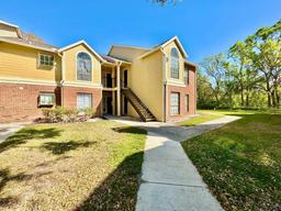 Picture of 8742 Mallard Reserve Drive Unit 101, Tampa, FL 33614