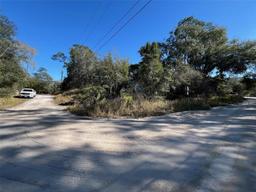 Picture of 24955 NE 131St Place, Fort Mc Coy, FL 32134
