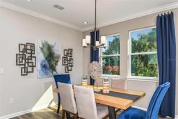 Picture of 20381 Symphony Place, Venice, FL 34293