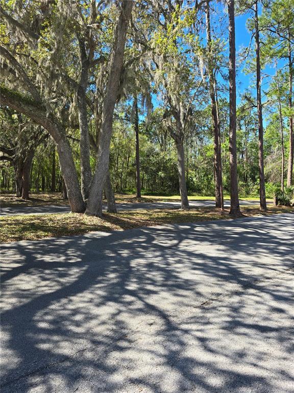 Picture of 24104 Sandalwood Drive Unit 104, Wildwood FL 34785