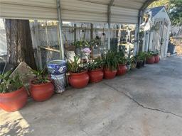 Picture of 24727 Palmetto Drive, Leesburg, FL 34748