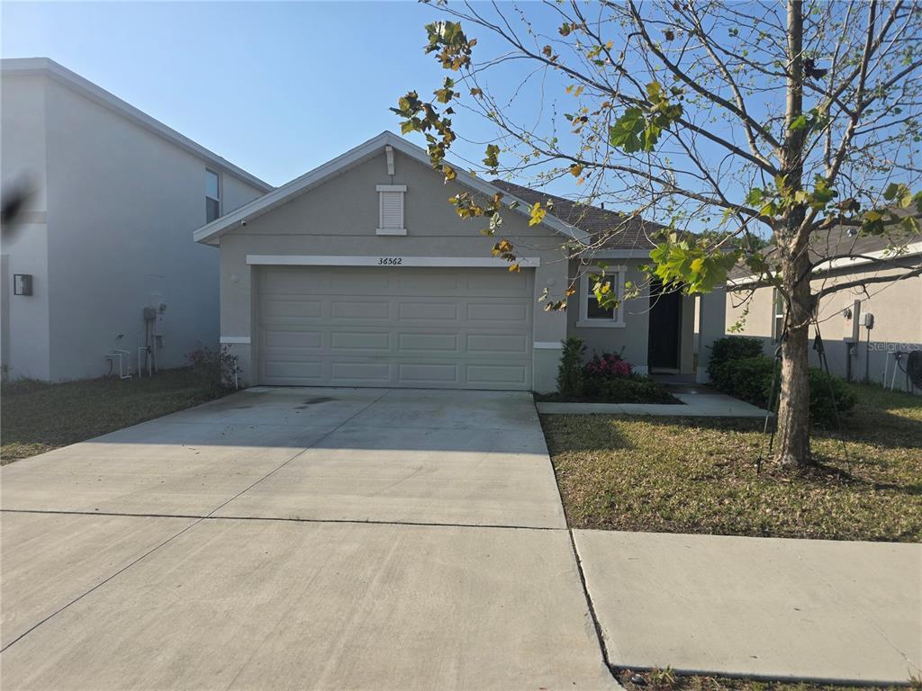 Picture of 36562 Silver Maize Drive, Dade City, FL 33525