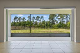 Picture of 17319 Million Lakes Court, Clermont, FL 34714