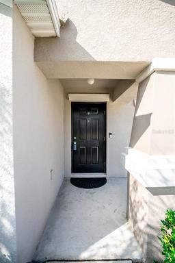 Picture of 17113 Sunshine Mimosa Street, Wimauma, FL 33598