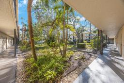 Picture of 11485 Oakhurst Road Unit 111, Largo, FL 33774