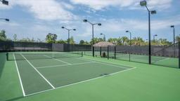 Picture of 10849 SW 40Th Lane, Gainesville, FL 32608