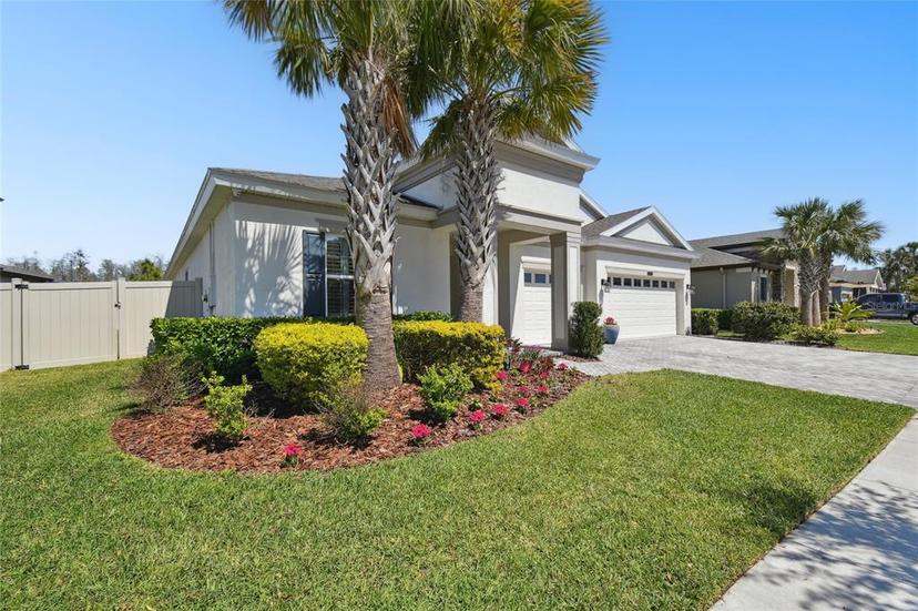 Picture of 8766 Shadyside Lane, Land O Lakes FL 34637