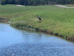Picture of 5700 Escondida Boulevard S Unit 506, St Petersburg, FL 33715