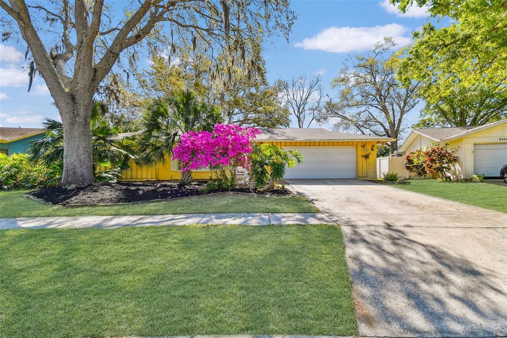 Picture of 2124 Crowsnest Drive, Palm Harbor, FL 34685