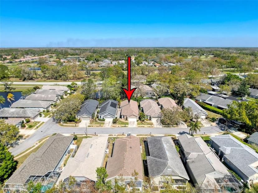 Picture of 3555 Sylvan Edge Dr, Palm Harbor FL 34685