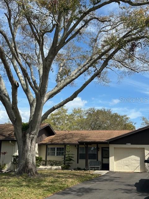 Picture of 1567 Patton Drive, Dunedin FL 34698