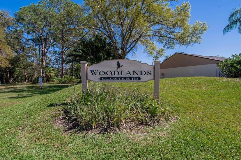 Picture of 370 S Woodlands Drive, Oldsmar FL 34677
