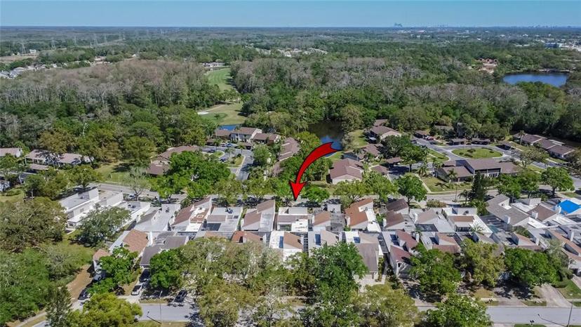 Picture of 370 S Woodlands Drive, Oldsmar FL 34677