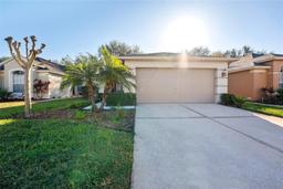 Picture of 5039 Gato Del Sol Circle, Wesley Chapel, FL 33544