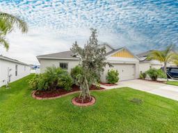 Picture of 12635 Tannencrest Drive, Riverview, FL 33579