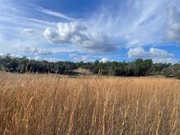 Picture of 105 Slipper Way, Hawthorne, FL 32640