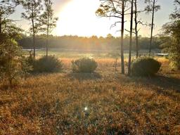 Picture of 105 Slipper Way, Hawthorne, FL 32640