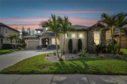 Picture of 8837 Garden Party Drive, Land O Lakes, FL 34637