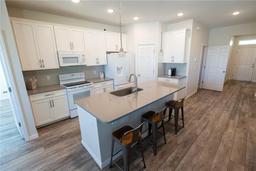 Picture of 13233 Lake Yale View Loop, Grand Island, FL 32735