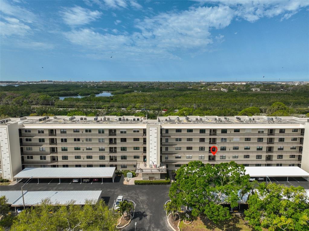 Picture of 8198 Terrace Garden Drive N Unit 208, St Petersburg, FL 33709