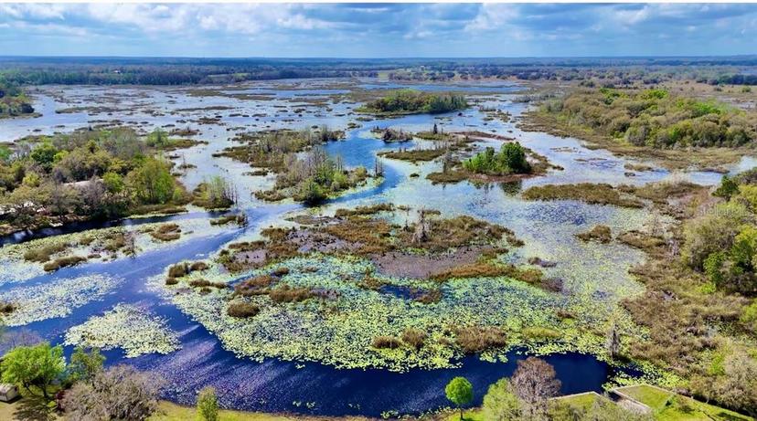 Picture of 1630 N Point Lonesome Road, Inverness FL 34453