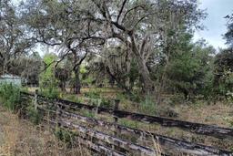 Picture of 110 Violet Fox Drive, Crescent City, FL 32112