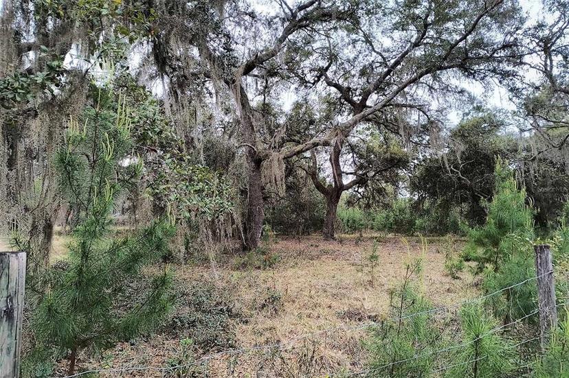 Picture of 110 Violet Fox Drive, Crescent City FL 32112