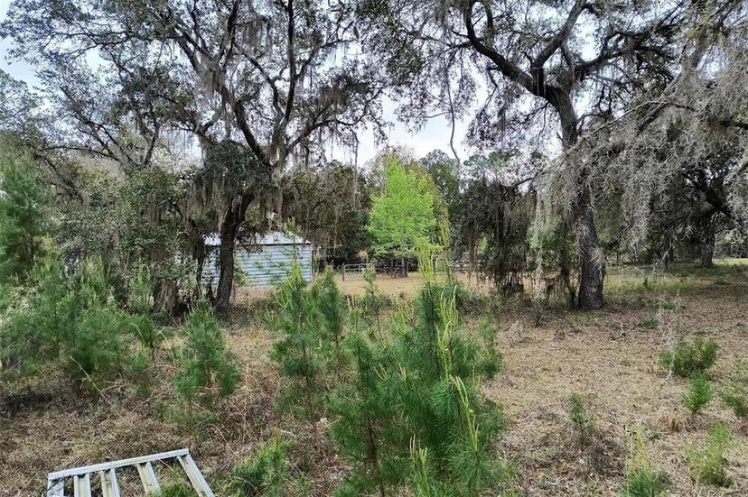Picture of 110 Violet Fox Drive, Crescent City FL 32112