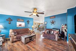 Picture of 382 Citrus Highlands Drive E, Bartow, FL 33830