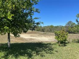 Picture of 179 Blue Cypress Drive, Davenport, FL 33837