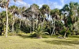 Picture of 617 Cervina Drive S, Venice, FL 34285