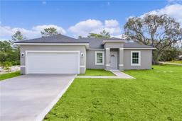 Picture of 75 Malauka Pass, Ocklawaha, FL 32179
