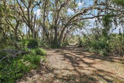 Picture of 5100 Banana Point Drive, Okahumpka, FL 34762
